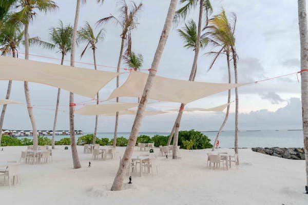 Toile coco : l'alliée idéale pour votre jardin zen