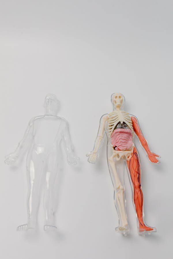 Prévenir les troubles musculosquelettiques : solutions pratiques et ludiques