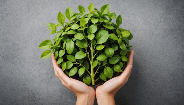 10 conseils pour un lifestyle éco-responsable et durable